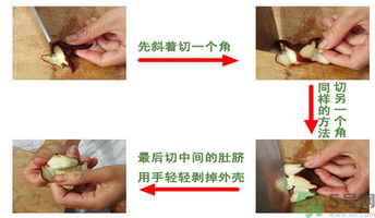 菱角懷孕可以吃嗎？孕婦能吃菱角嗎？