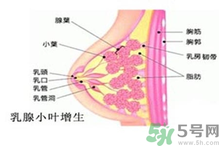 女性乳腺增生的原因是什么？乳腺增生的癥狀有哪些？