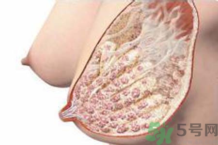 乳腺增生可以懷孕嗎？如何預(yù)防乳腺增生？