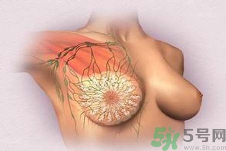 乳頭發(fā)黑是怎么回事？乳頭發(fā)黑是什么原因？