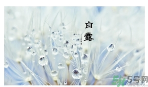 白露身不露是什么意思？白露還熱嗎？