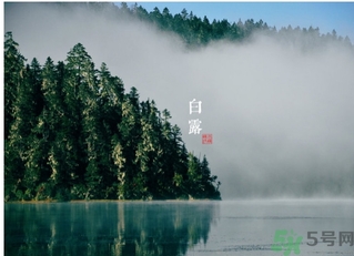 白露吃什么好？白露食療