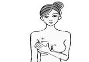 女性乳腺增生的原因是什么？乳腺增生的癥狀有哪些？