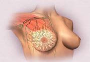 乳頭發(fā)黑是怎么回事？乳頭發(fā)黑是什么原因？