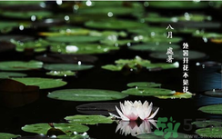 處暑如何養(yǎng)生？處暑養(yǎng)生要注意什么？