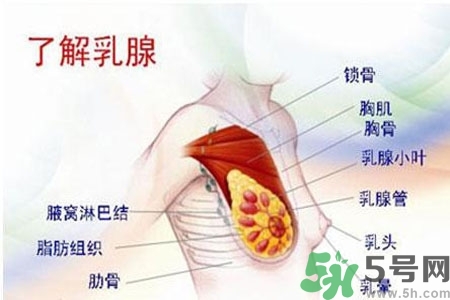 乳房上有硬塊怎么辦？乳房有硬塊的病因是什么？