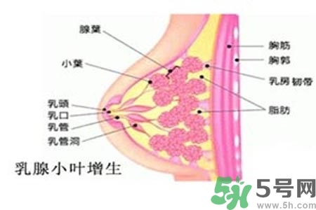 乳房上有硬塊怎么辦？乳房有硬塊的病因是什么？