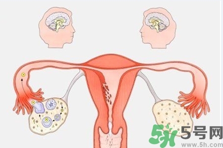 陰道出血和什么有關(guān)？陰道出血的應(yīng)急措施有哪些？