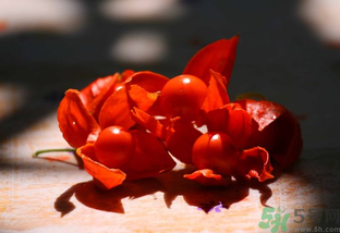 紅姑娘怎么吃？紅姑娘怎么保存？