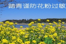 花粉過(guò)敏的表現(xiàn)是什么？如何有效的預(yù)防花粉過(guò)敏？
