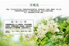 洋槐蜜的鑒別方法是什么？洋槐蜜多少錢一斤？