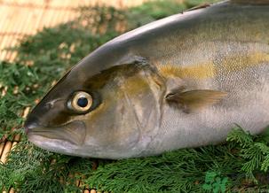 魚眼睛可以吃嗎？吃魚眼睛有什么好處？