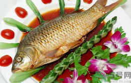 吃魚眼睛對眼睛有好處嗎？吃什么魚對眼睛好？