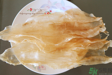 魚膠是什么？魚膠的功效與作用？