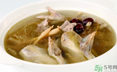 孕婦可以吃魚(yú)膠嗎？魚(yú)膠怎么燉適合孕婦吃？