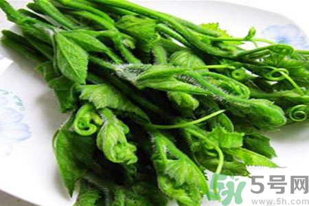 南瓜藤的功效作用有哪些？南瓜藤的食用價值是什么？