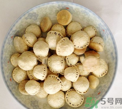 壯陽果怎么食用？壯陽果的功效與作用