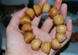 壯陽果怎么泡酒？ 壯陽果泡酒的功效與作用