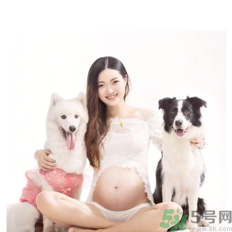 孕婦可以養(yǎng)狗嗎？養(yǎng)狗對(duì)孕婦有影響嗎？