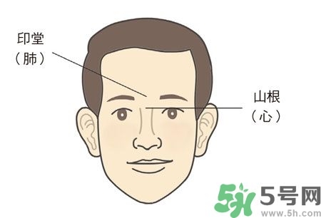 耳垂上有豎紋是怎么回事？山根有橫紋是什么??？