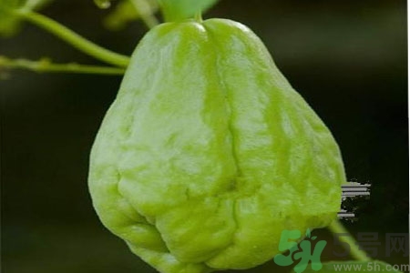 佛手瓜的功效與作用是什么？佛手瓜的營養(yǎng)價(jià)值有哪些？