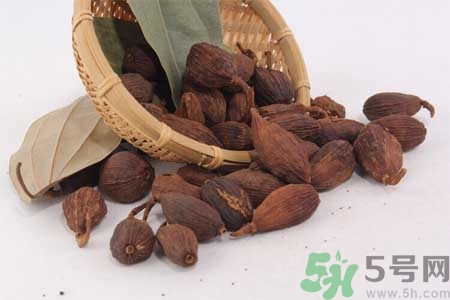 草果是什么？草果的功效與作用