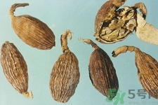 草果是什么？草果的功效與作用