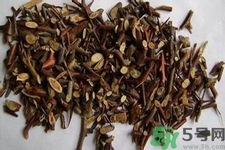 皂角刺的藥用價值是什么？皂角刺的功效與作用有哪些？