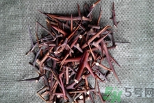 皂角刺的藥用價值是什么？皂角刺的功效與作用有哪些？