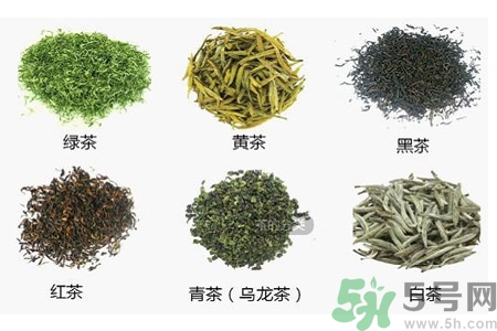 茶葉的泡法有哪些？泡茶葉的最佳水溫是多少？