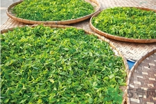 普洱茶怎么保存？茶葉能放冰箱嗎？