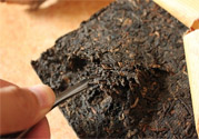 普洱茶怎么保存？茶葉能放冰箱嗎？