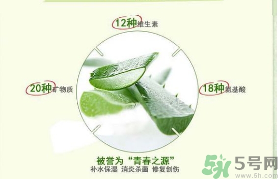 the saem得鮮和自然樂(lè)園哪個(gè)好？得鮮的蘆薈膠和自然樂(lè)園哪個(gè)好？
