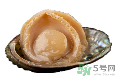 鮑魚如何挑選？鮑魚怎么保存？