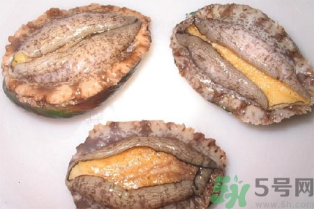 鮑魚(yú)的營(yíng)養(yǎng)價(jià)值有哪些？鮑魚(yú)的藥用價(jià)值是什么？
