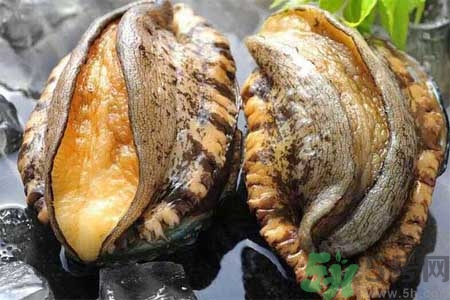 鮑魚(yú)的營(yíng)養(yǎng)價(jià)值有哪些？鮑魚(yú)的藥用價(jià)值是什么？