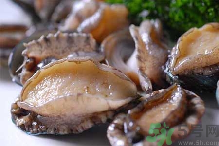 鮑魚(yú)的營(yíng)養(yǎng)價(jià)值有哪些？鮑魚(yú)的藥用價(jià)值是什么？