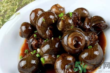 田螺肉怎樣做？田螺的營養(yǎng)價值有哪些？