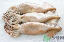 魷魚怎么處理？干魷魚怎么泡發(fā)？