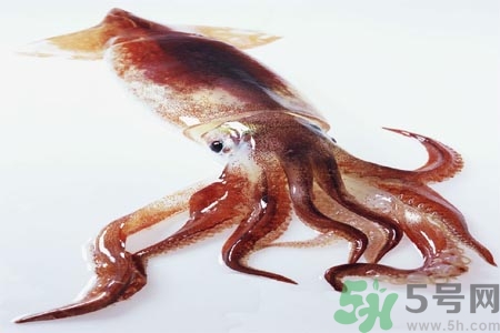 魷魚怎么處理？干魷魚怎么泡發(fā)？