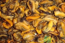 淡菜是什么？淡菜的營養(yǎng)價值有哪些？