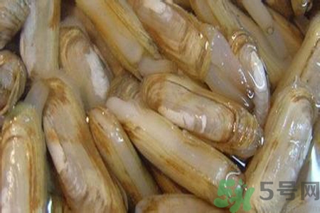 蟶子怎么洗？新鮮蟶子怎么挑選？