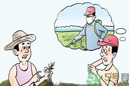 怎么洗掉水果上的農(nóng)藥？農(nóng)藥殘留的危害有哪些？