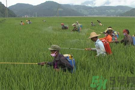 如何去除蔬菜上農(nóng)藥殘留？清洗農(nóng)藥小竅門有哪些？