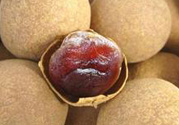 干桂圓吃多了會(huì)上火嗎？吃干桂圓上火怎么辦？