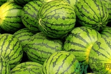 西瓜牛奶可以一起吃嗎？西瓜牛奶怎么做好吃？
