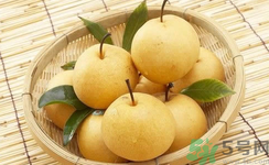 娃娃梨是怎么種出來的？娃娃梨為什么外形像娃娃？