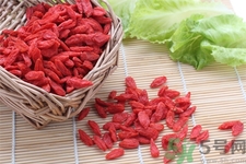 枸杞子泡酒怎么泡？枸杞酒的制作方法是什么？