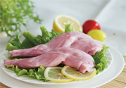 兔肉不能和什么一起吃？什么人不能吃兔肉？