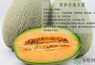 西州蜜瓜怎么吃？西州蜜瓜的食用方法